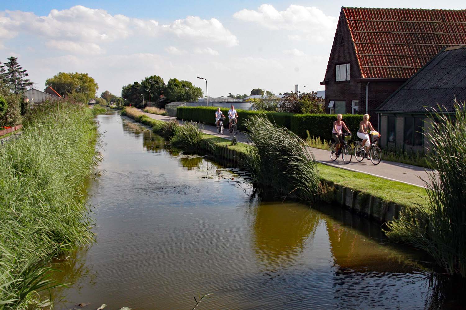 Harnaskade in Beeld