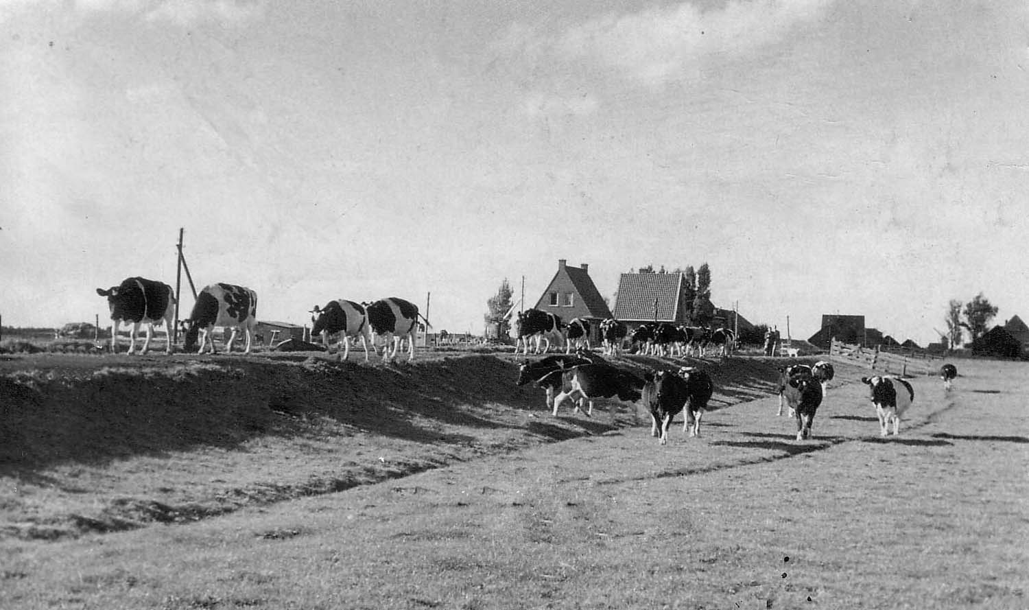 Harnaskade in Beeld