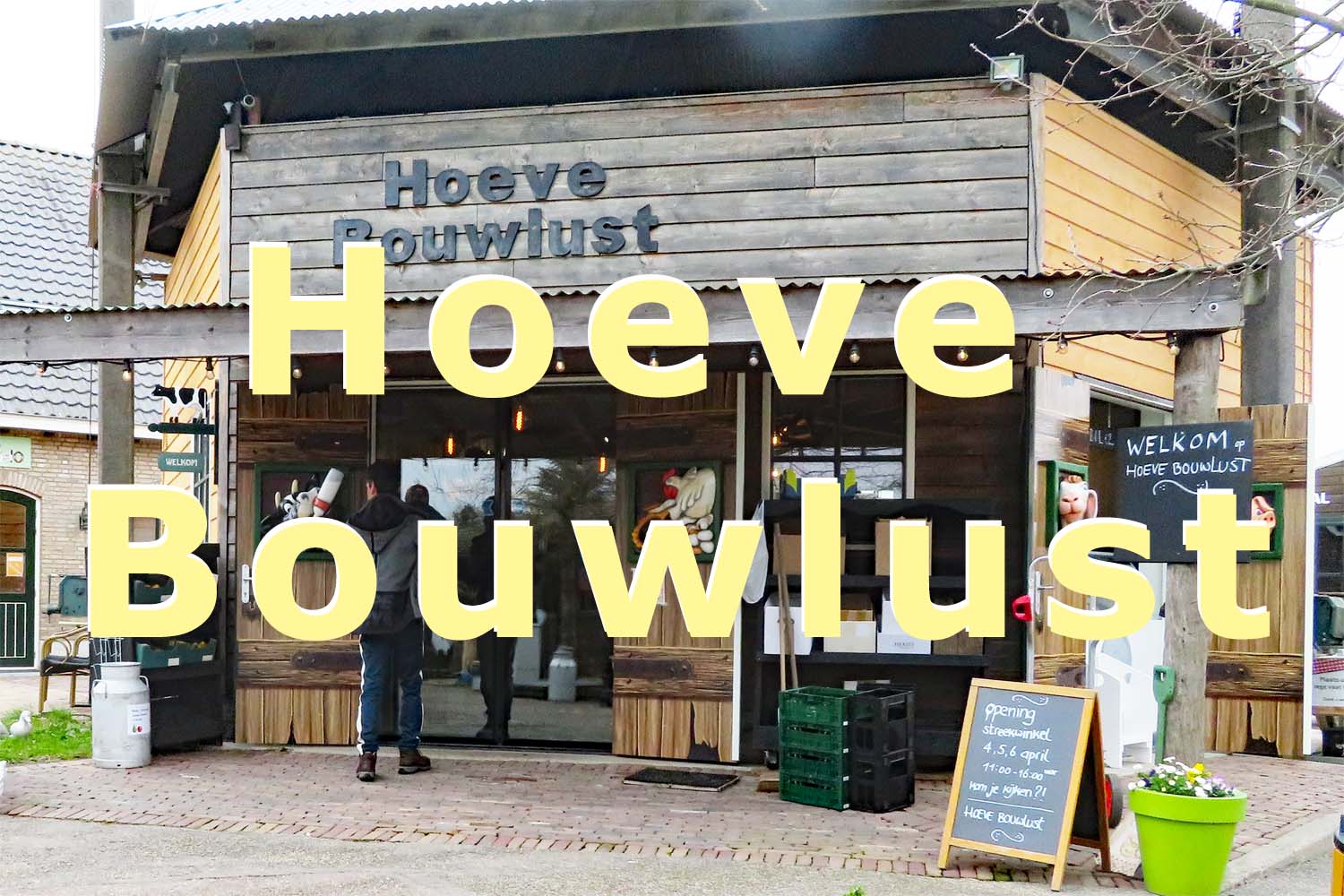 Gemeenteraadsverkiezingen