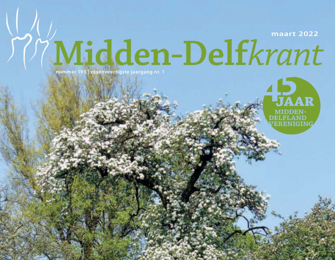 Midden-Delfkrant