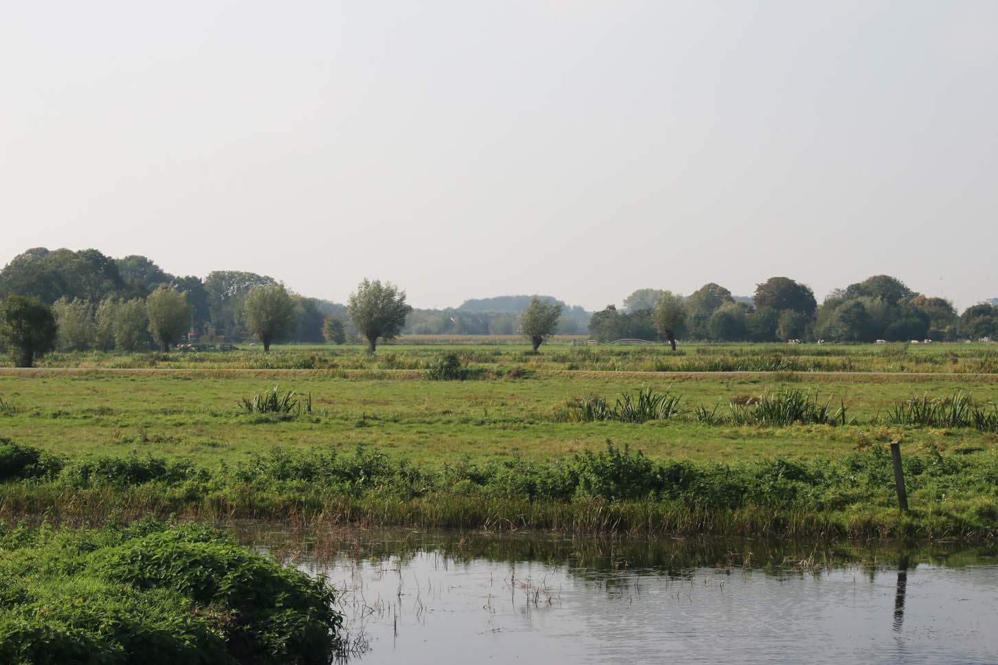 Aalkeet-Binnenpolder