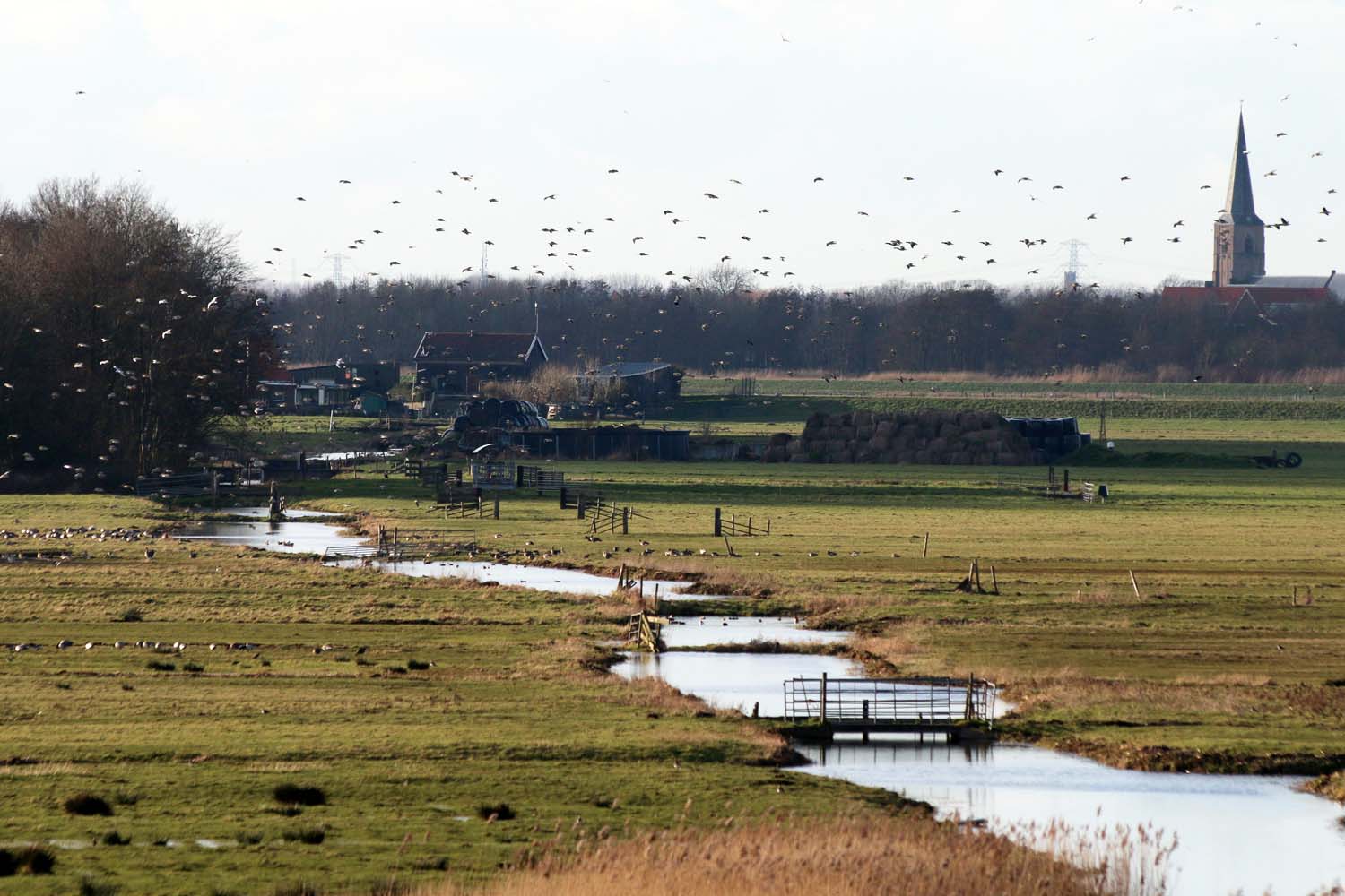 Aalkeet-Buitenpolder