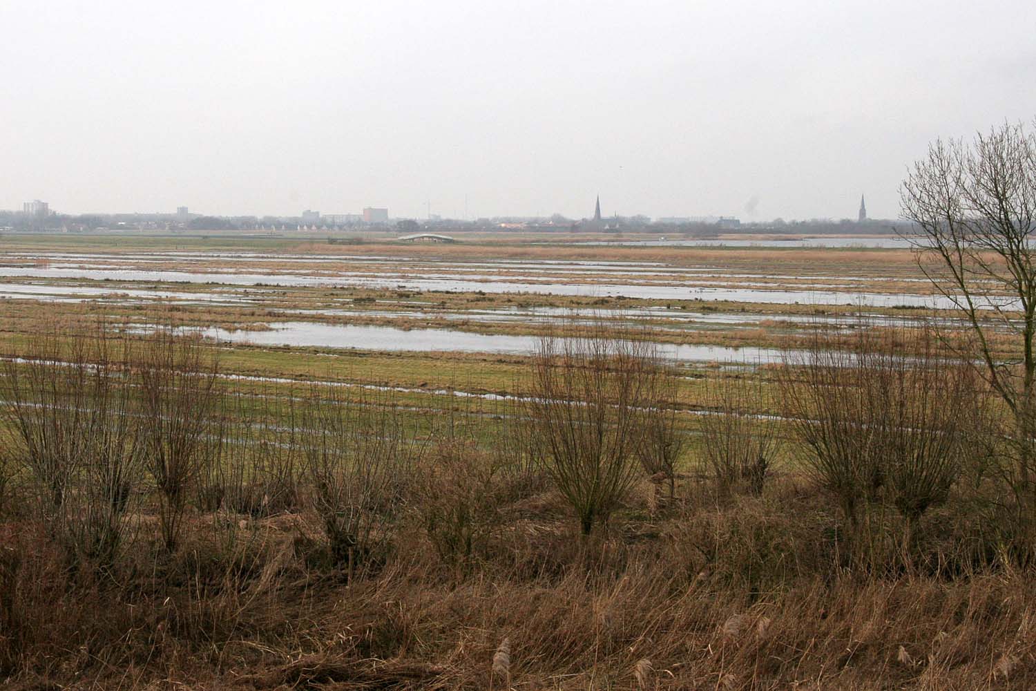 Aalkeet-Buitenpolder