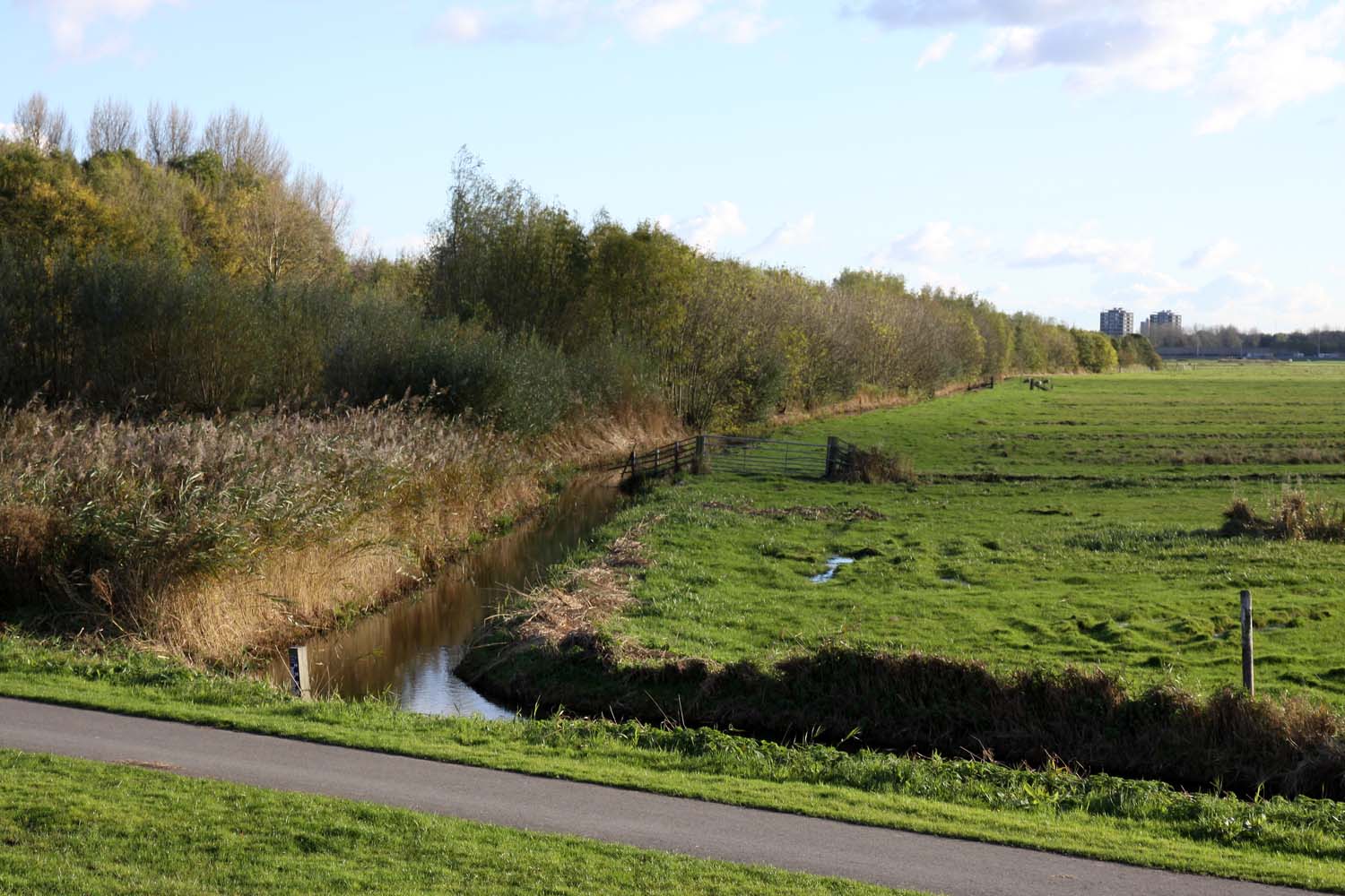 Aalkeet-Buitenpolder