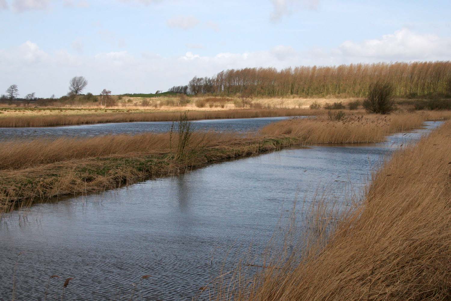 Aalkeet-Buitenpolder