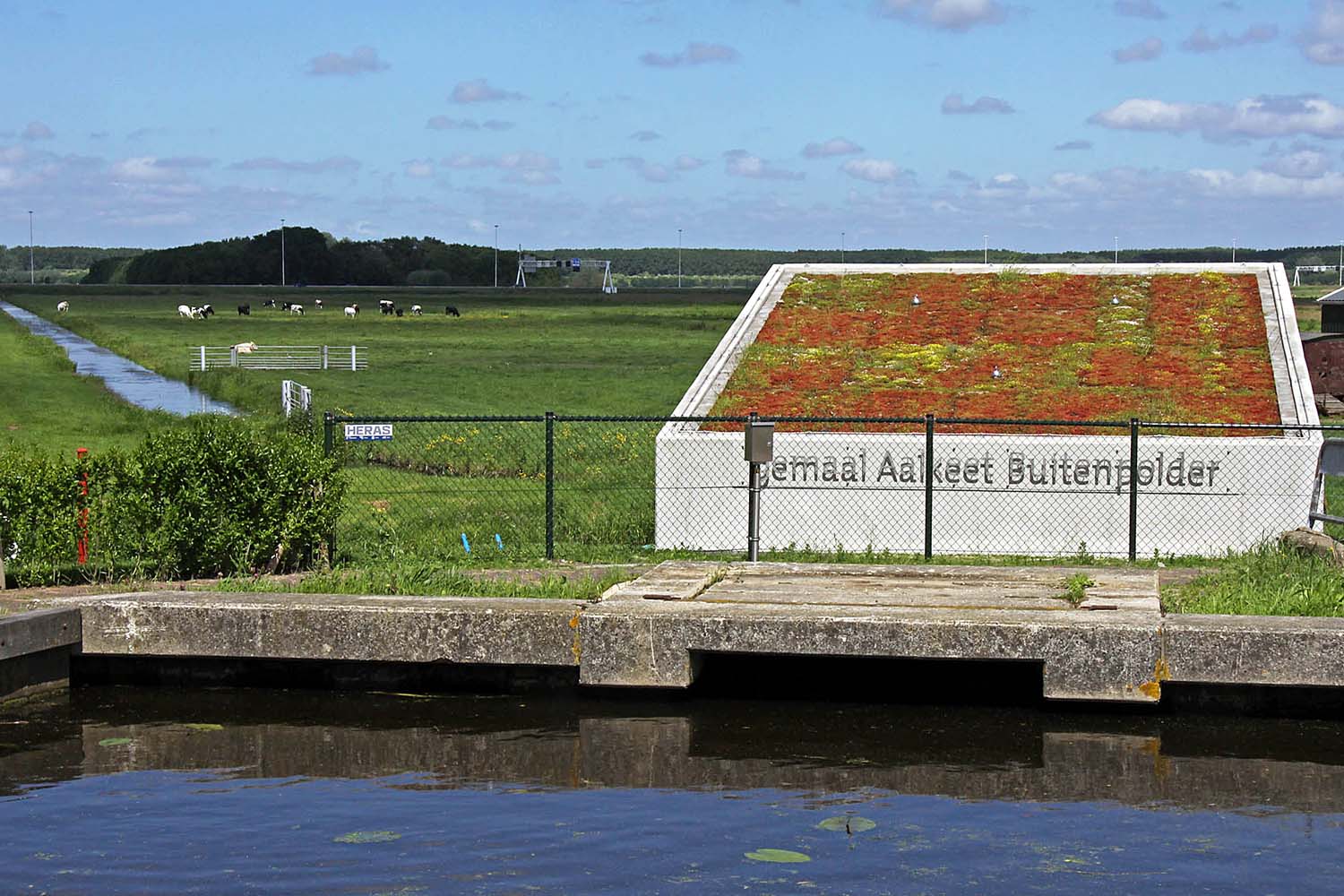 Aalkeet-Buitenpolder