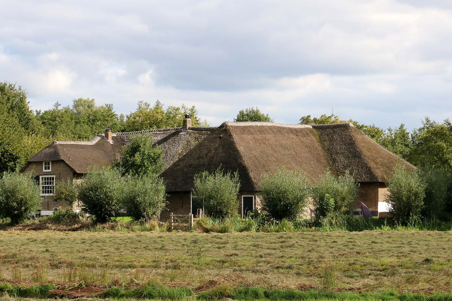 Ackerdijkse Plassen