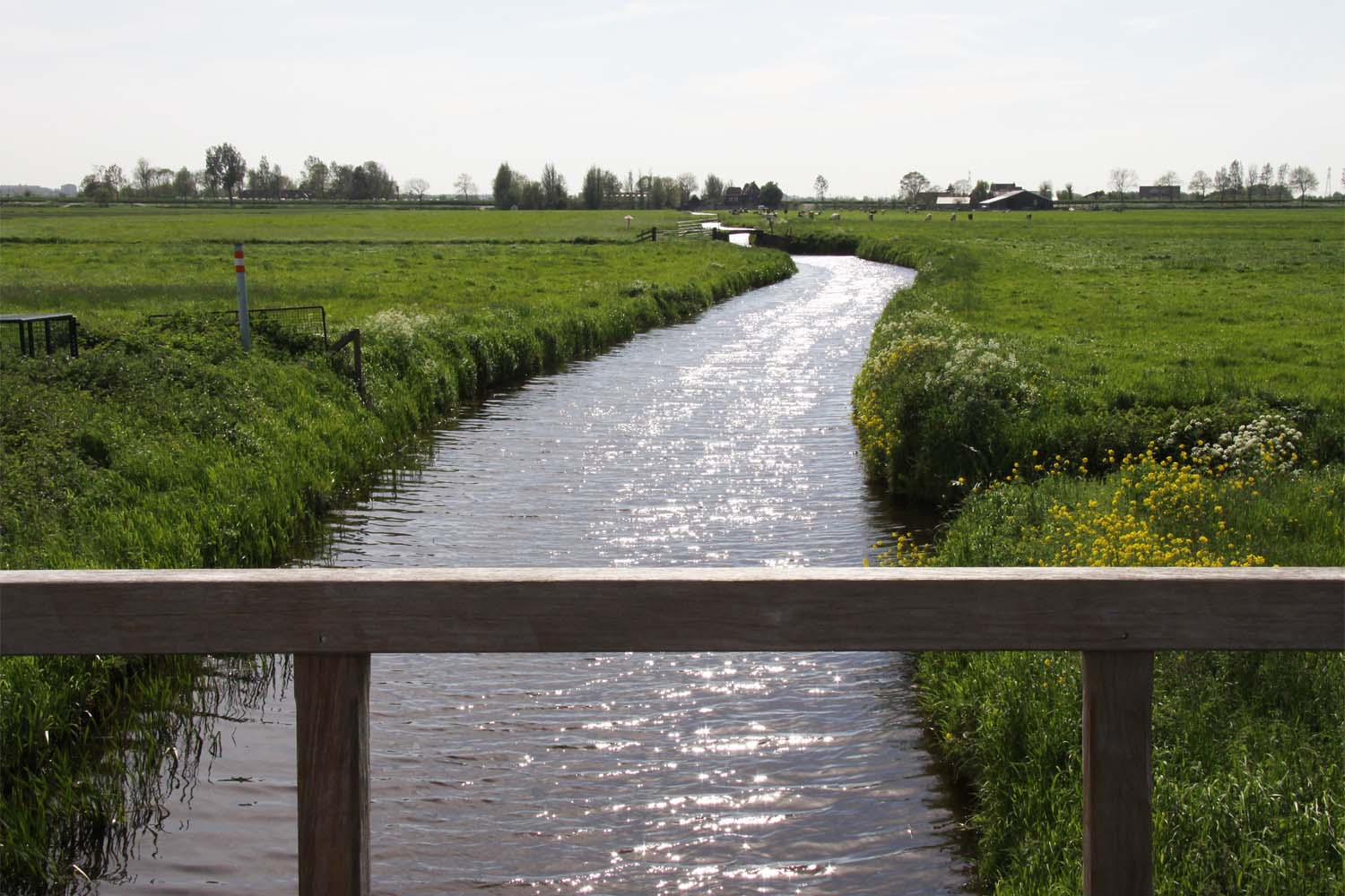 Akkerdijksche polder en Oude Leede