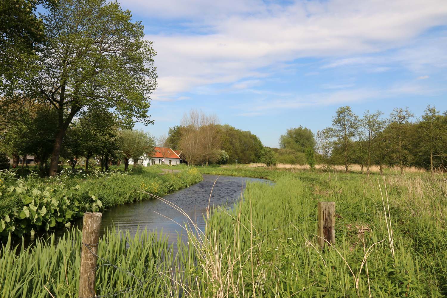 Ackerdijkseweg