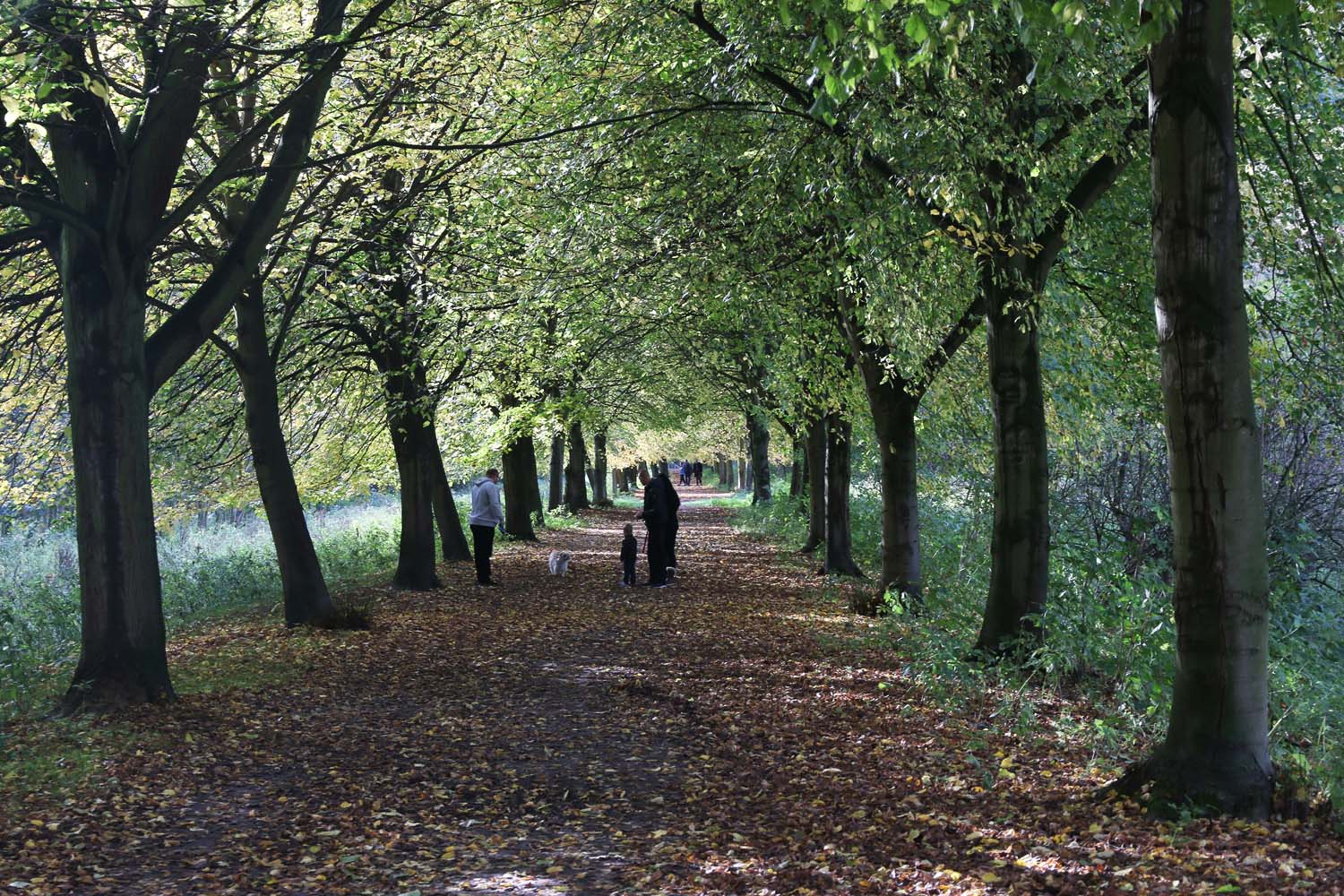 Broekpolder