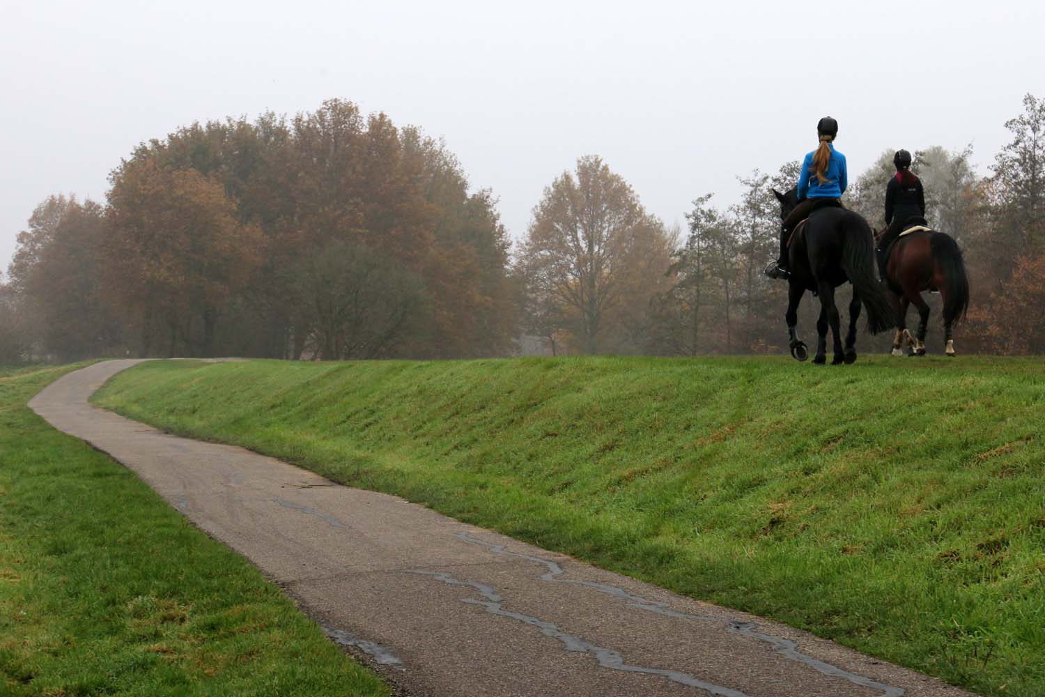 Broekpolder