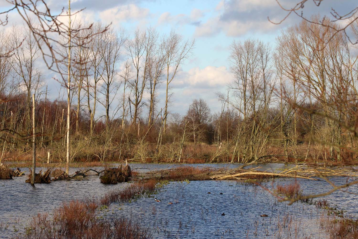 Broekpolder