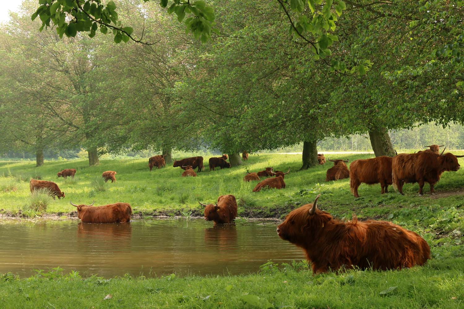 Broekpolder