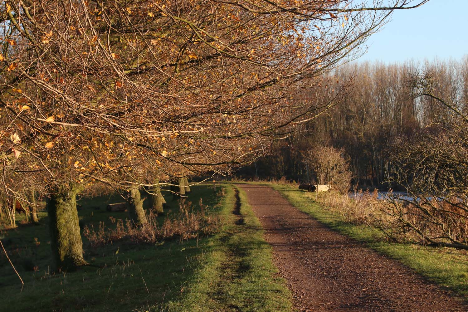 Broekpolder