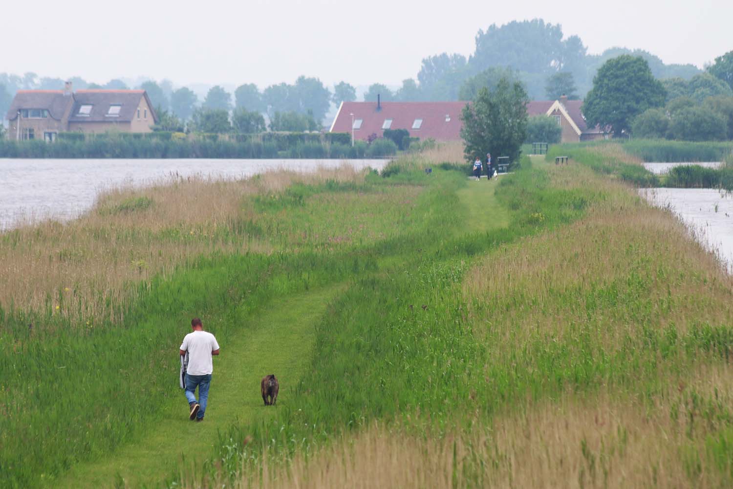 Broekpolder