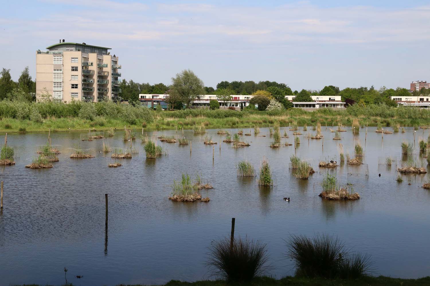 Broekpolder