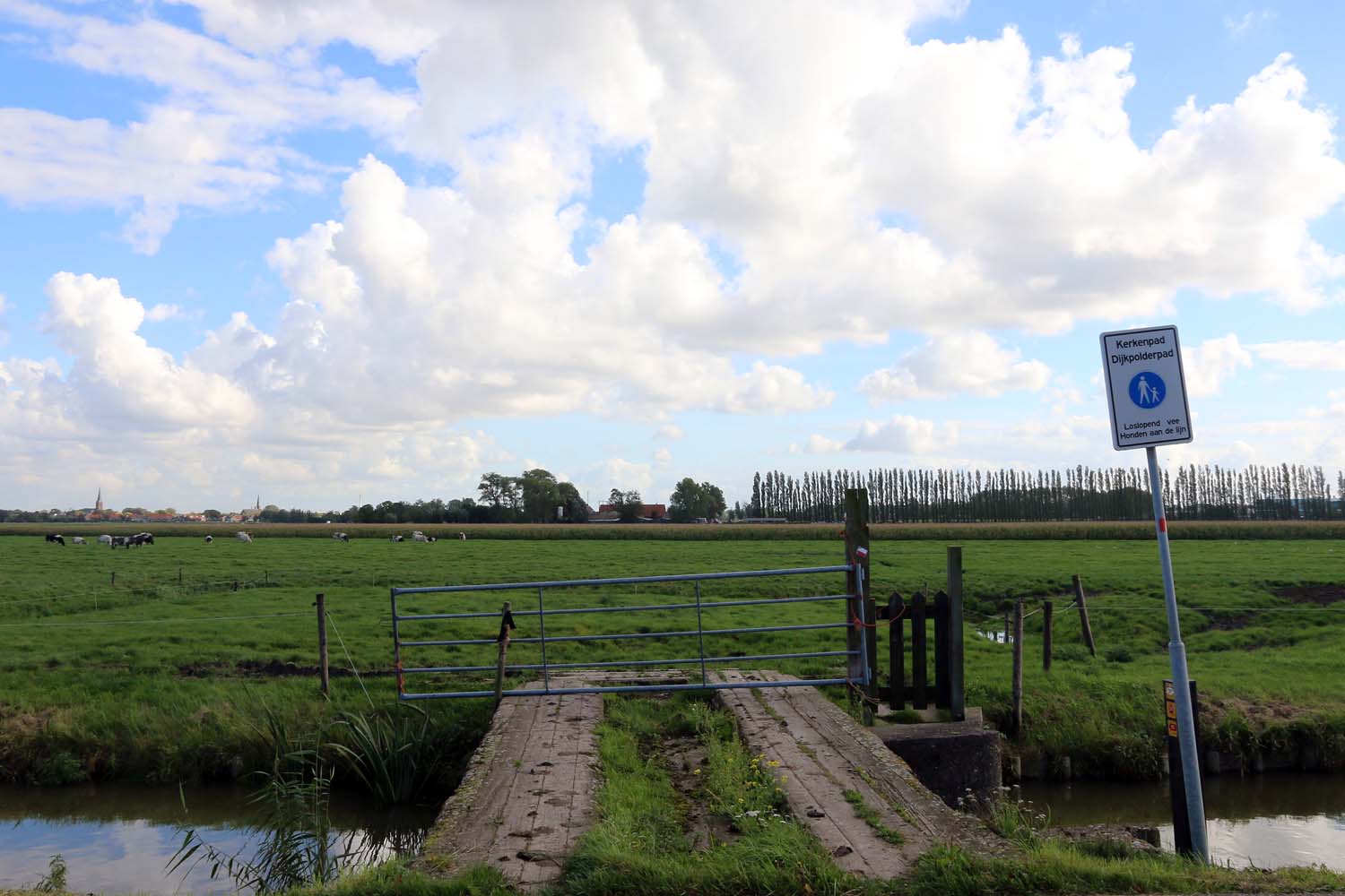 Dijkpolder