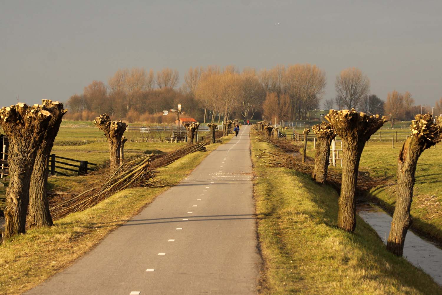 Dijkpolder