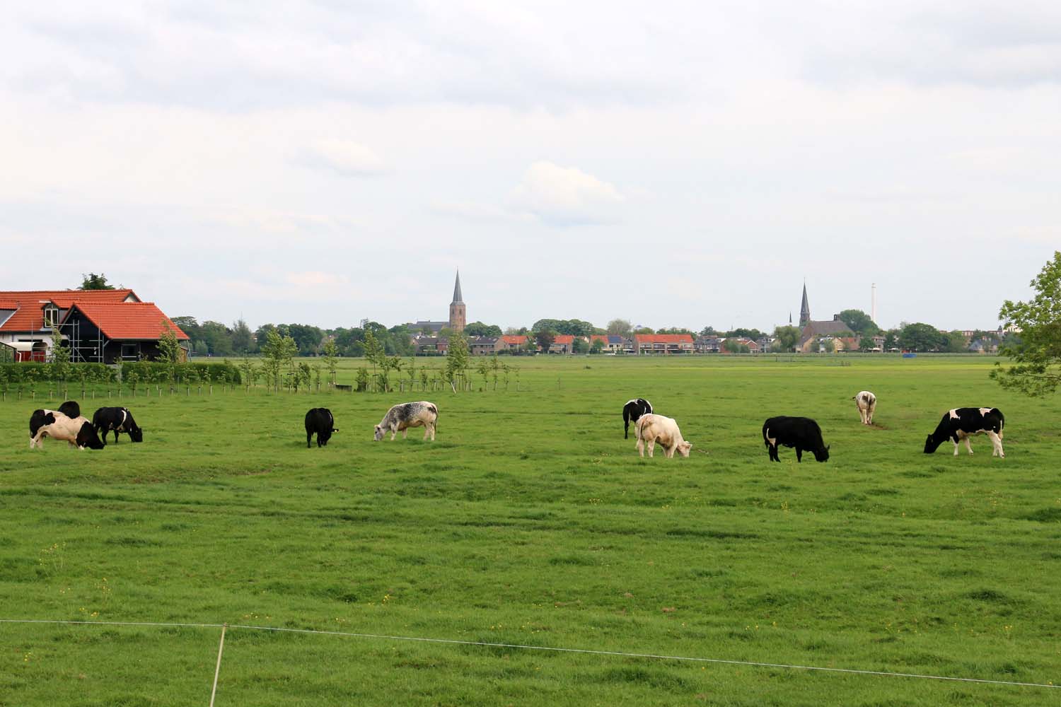 Dijkpolder