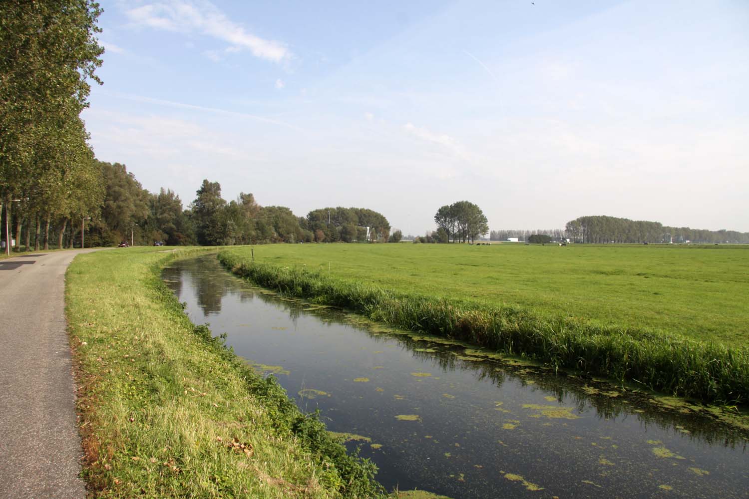 Dijkpolder