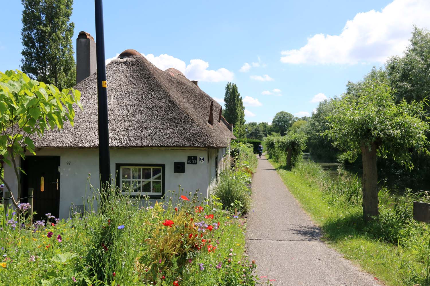 Dijkpolder