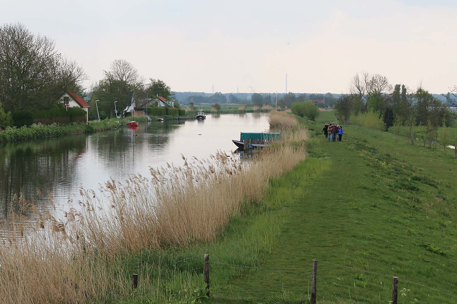 Duifpolder