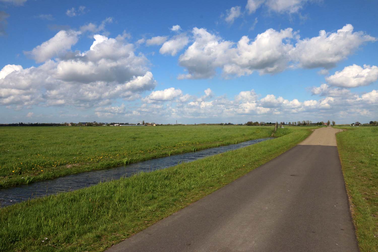 Duifpolder