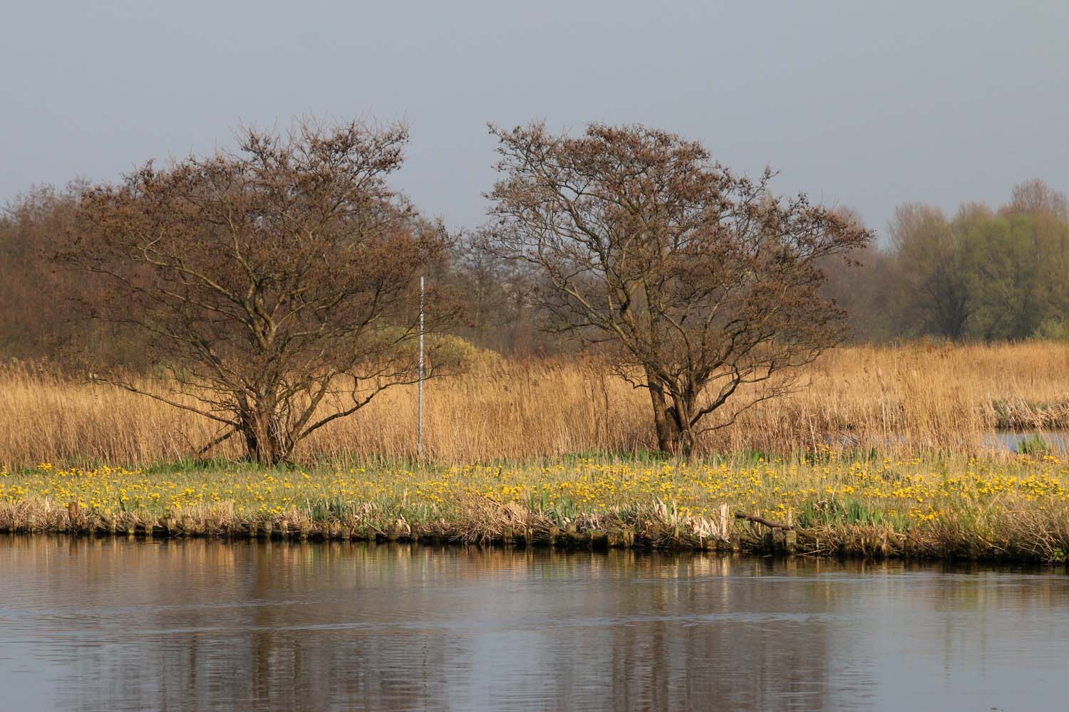 Foppenpolder