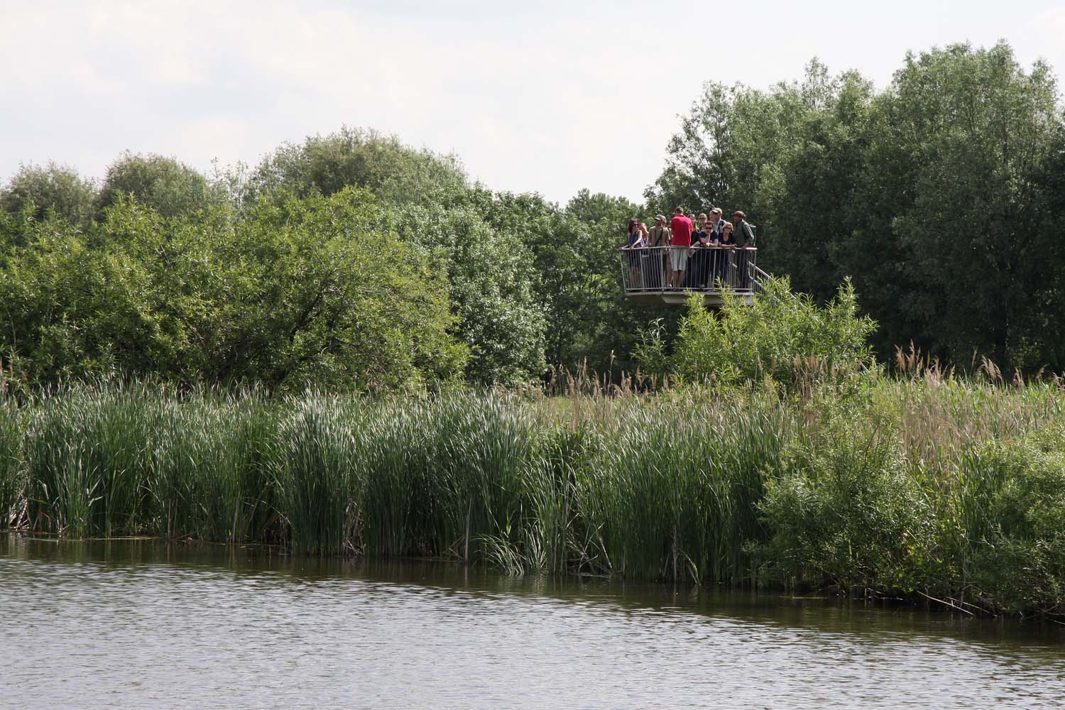 Foppenpolder