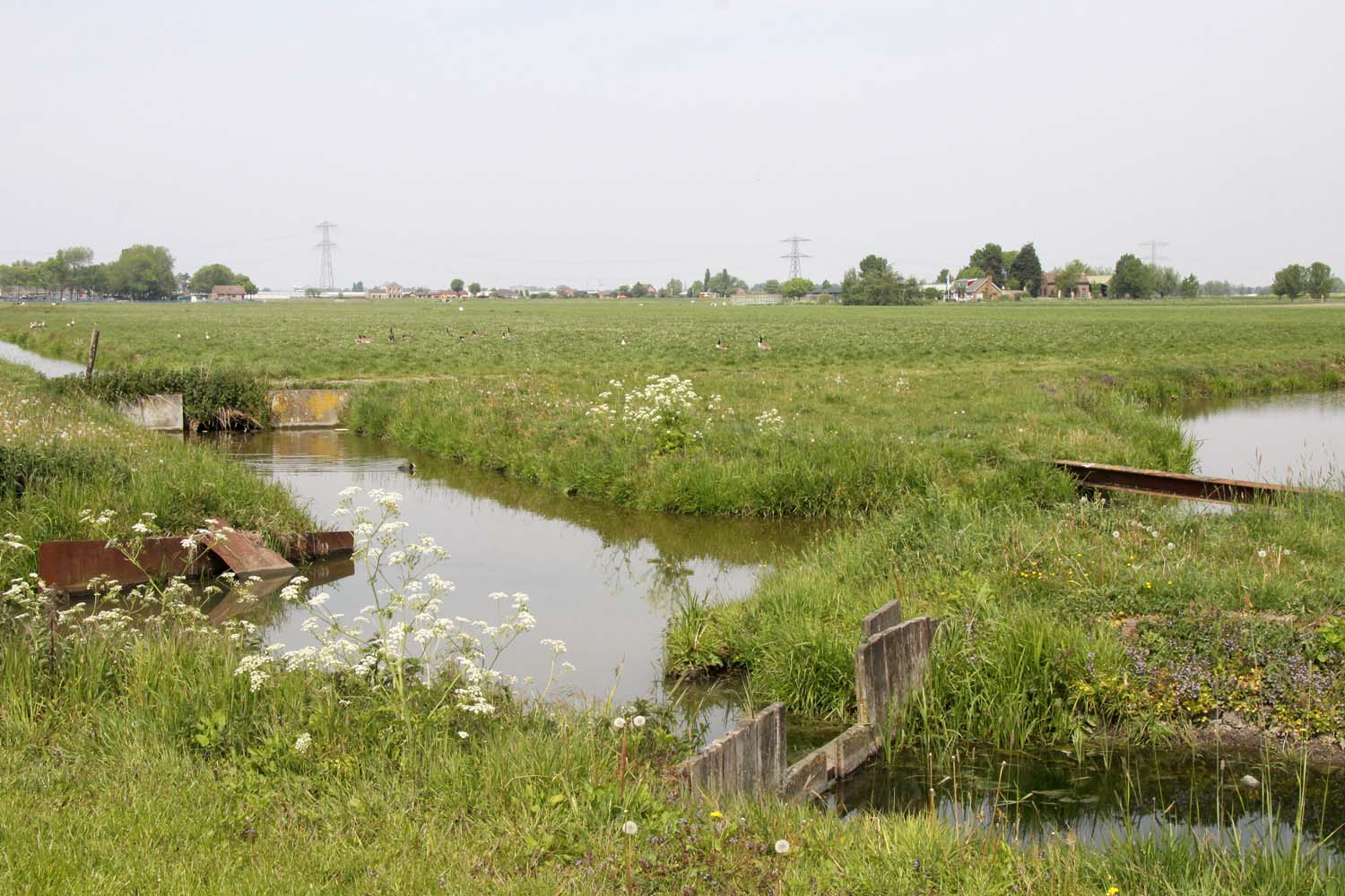 Groeneveldse Polder