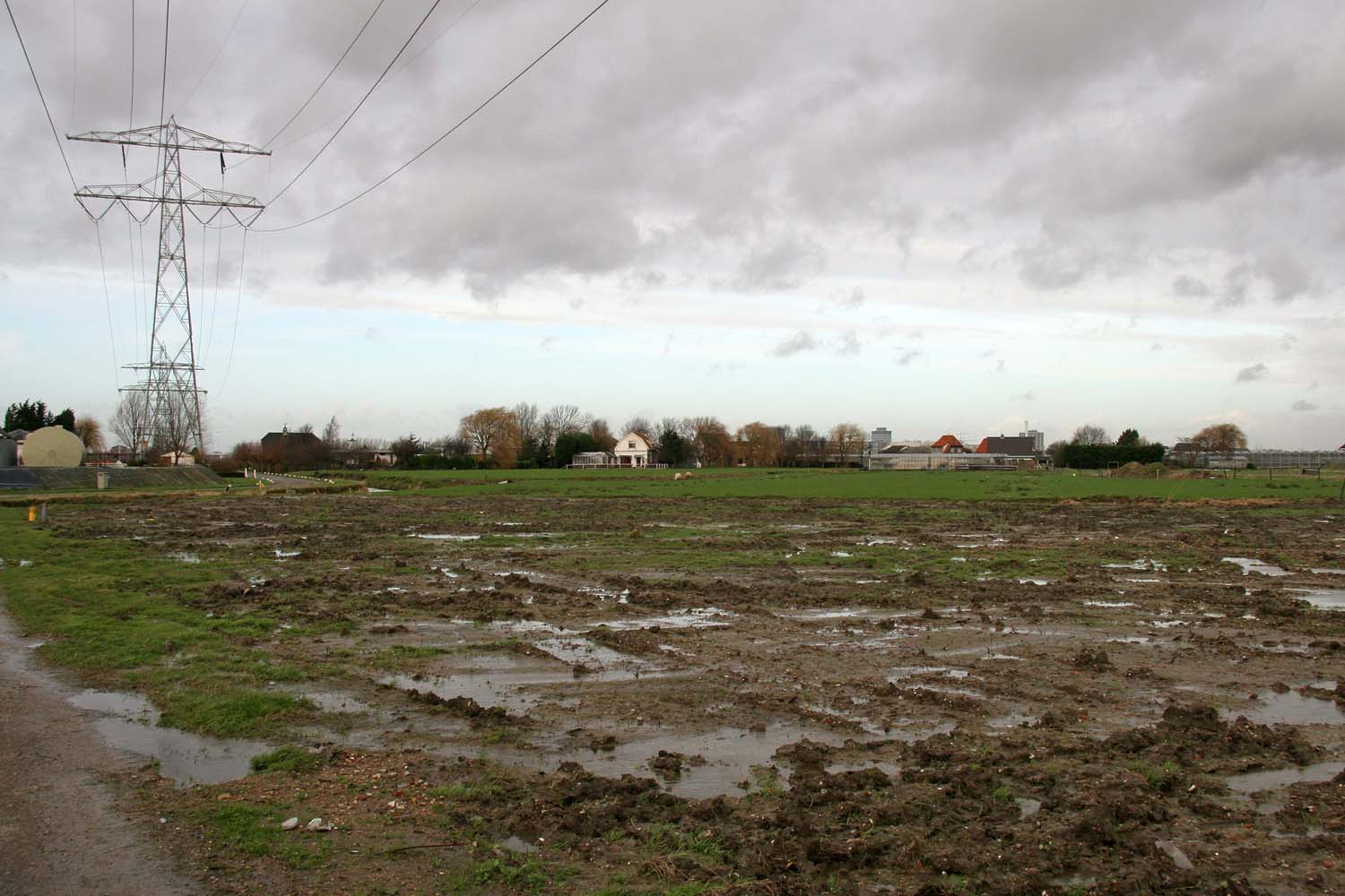 Harnaschpolder