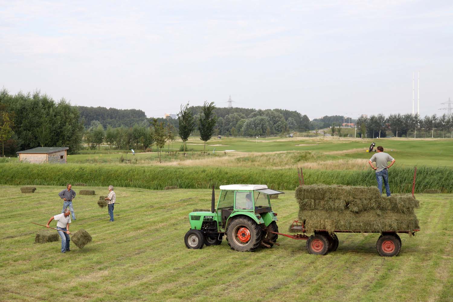 Kerkpolder hooien