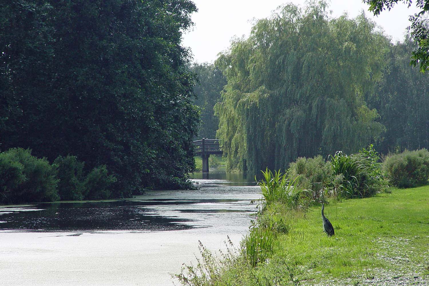 Kerkpolder park