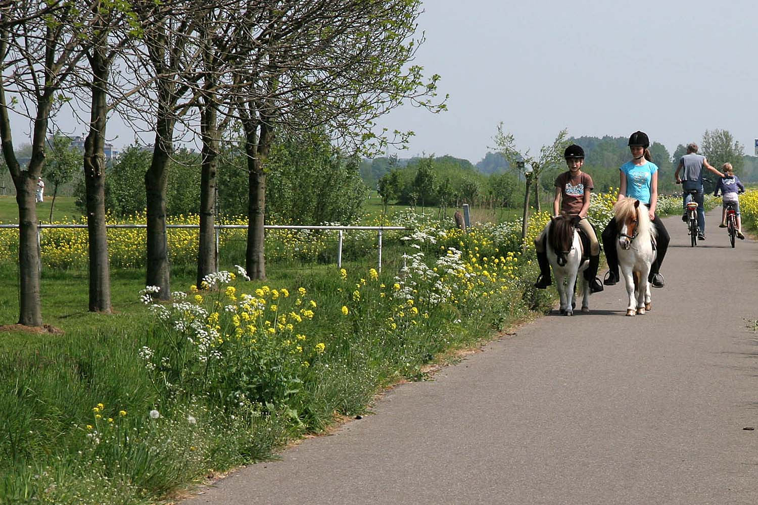 Zuidkade en golfbaan Delfland