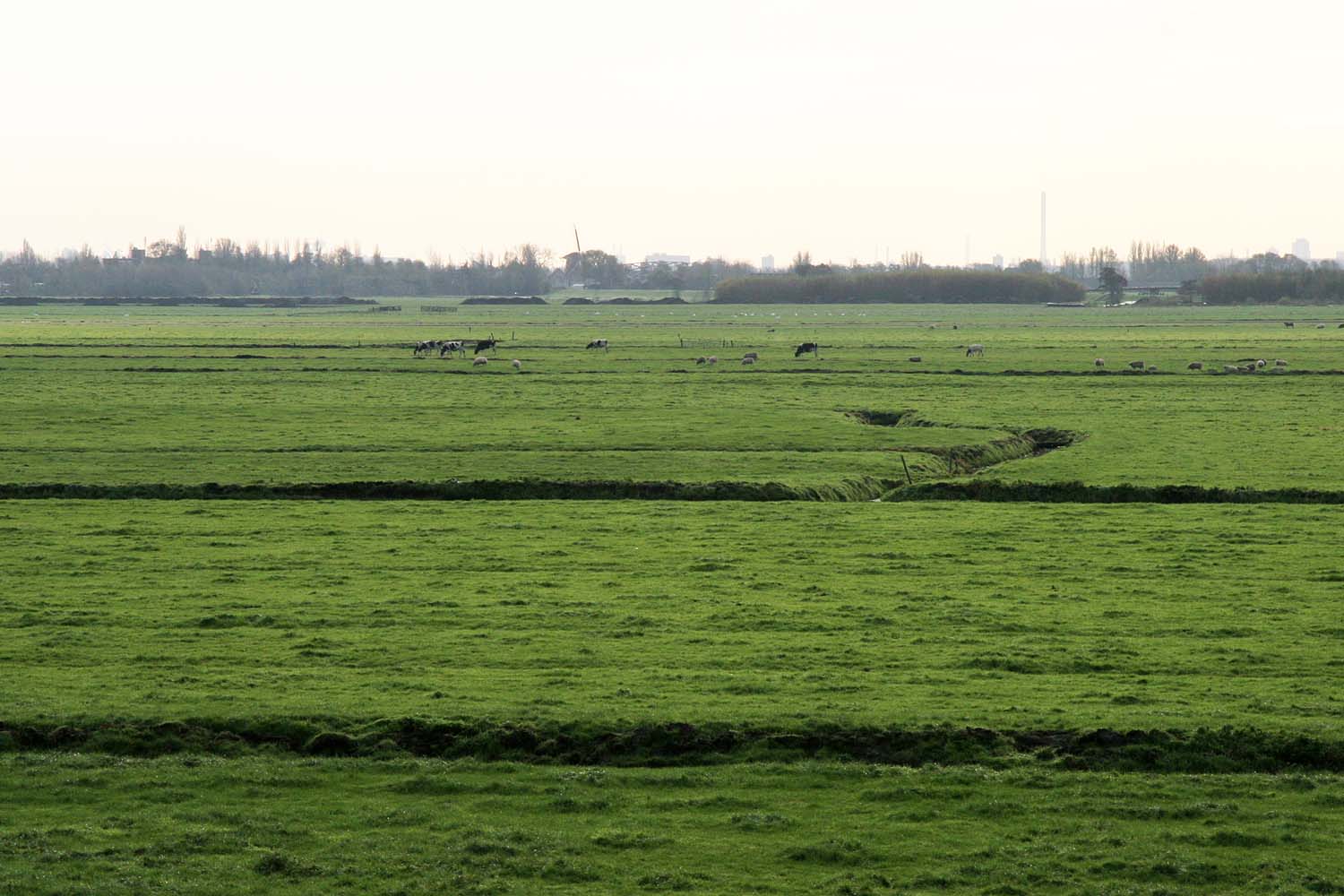 Klaas Engelbrechtspolder sloten