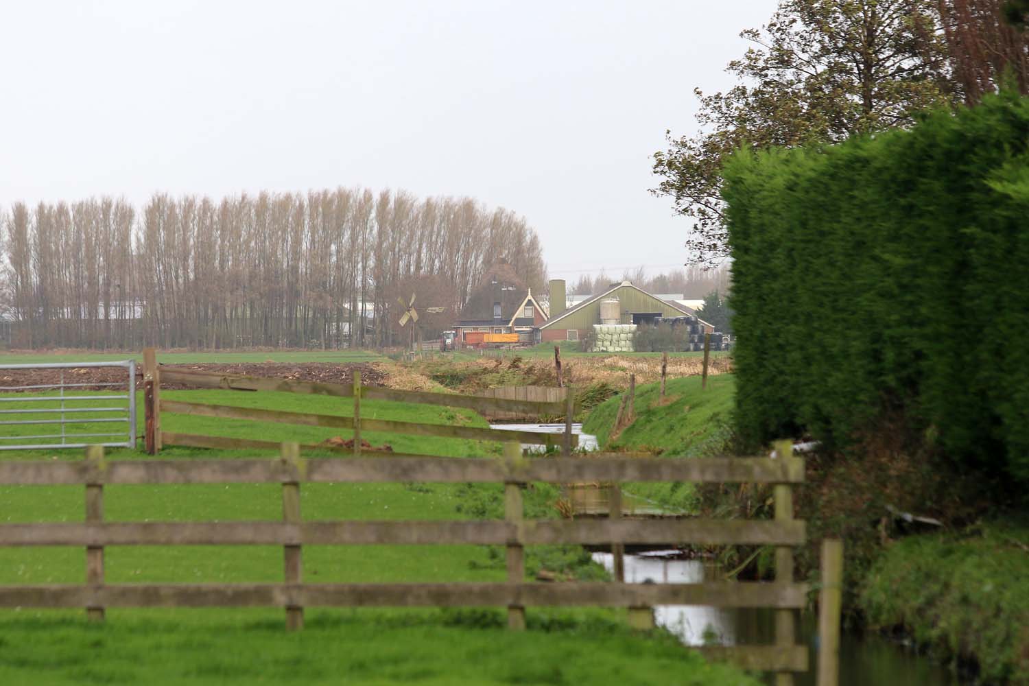 Kralingerpolder