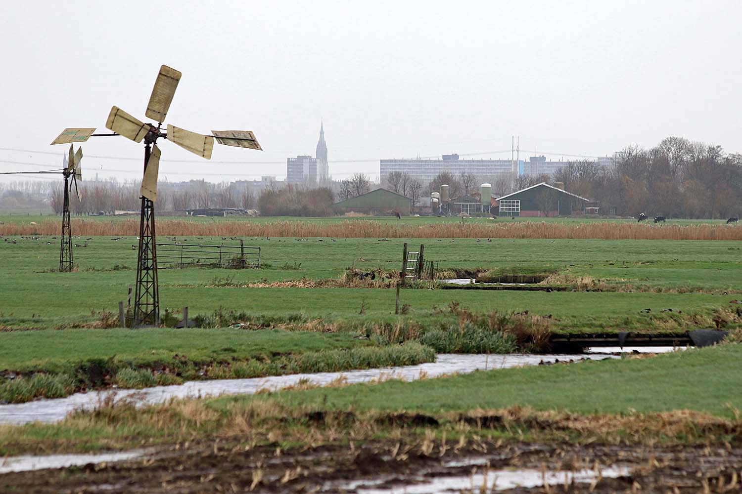 Kralingerpolder