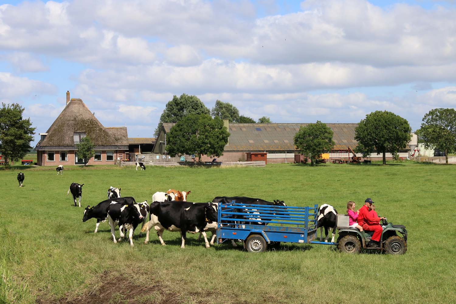 Kralingerpolder