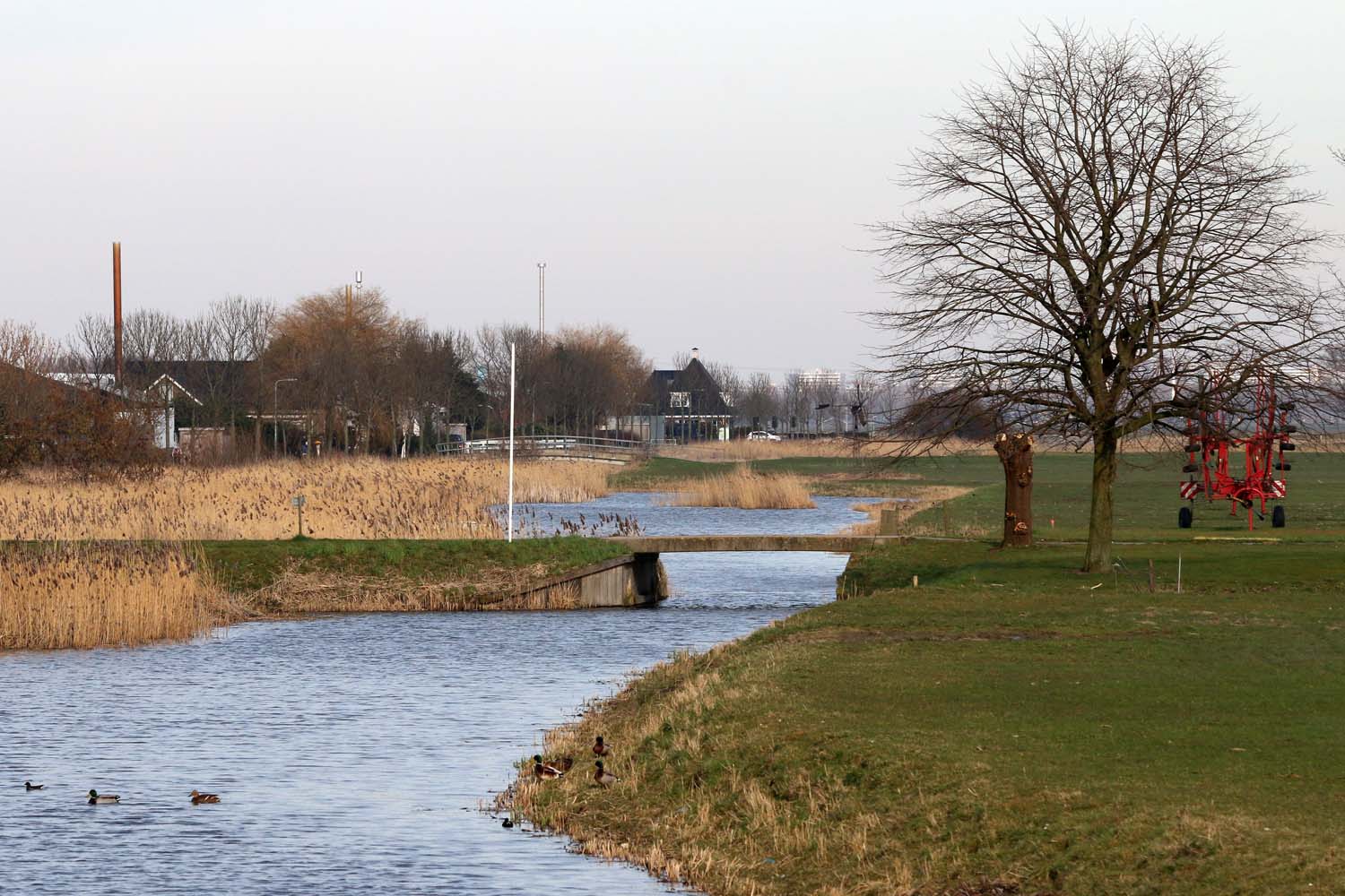 Kralingerpolder