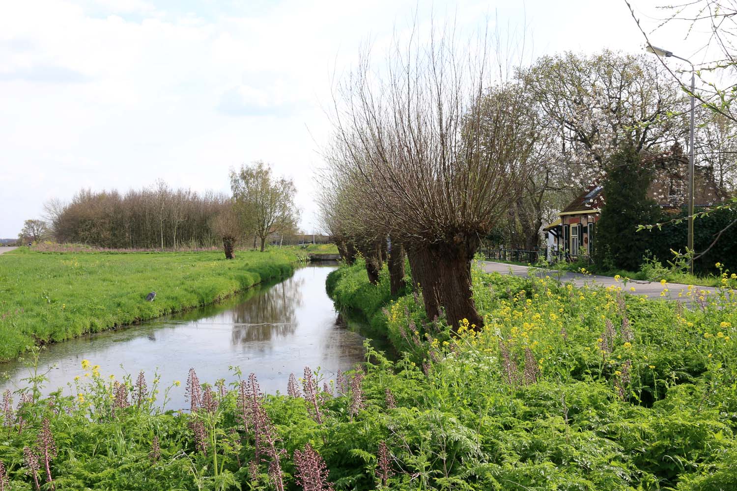 De weg Abtswoude