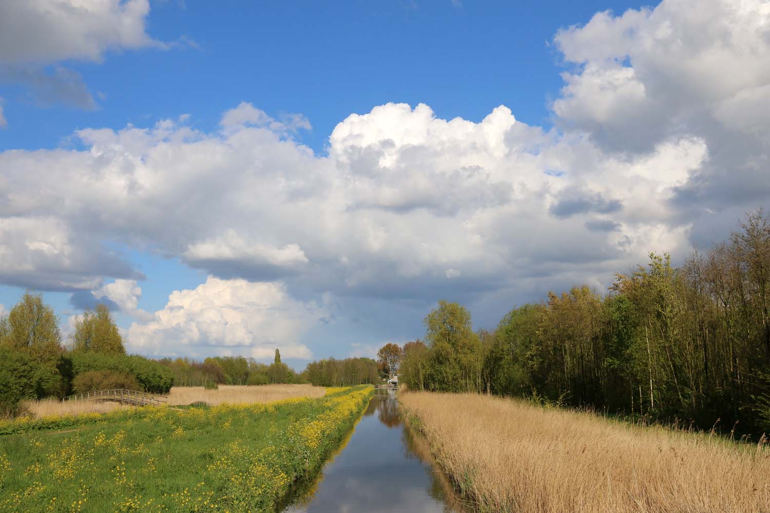 Abtswoudsche Bos