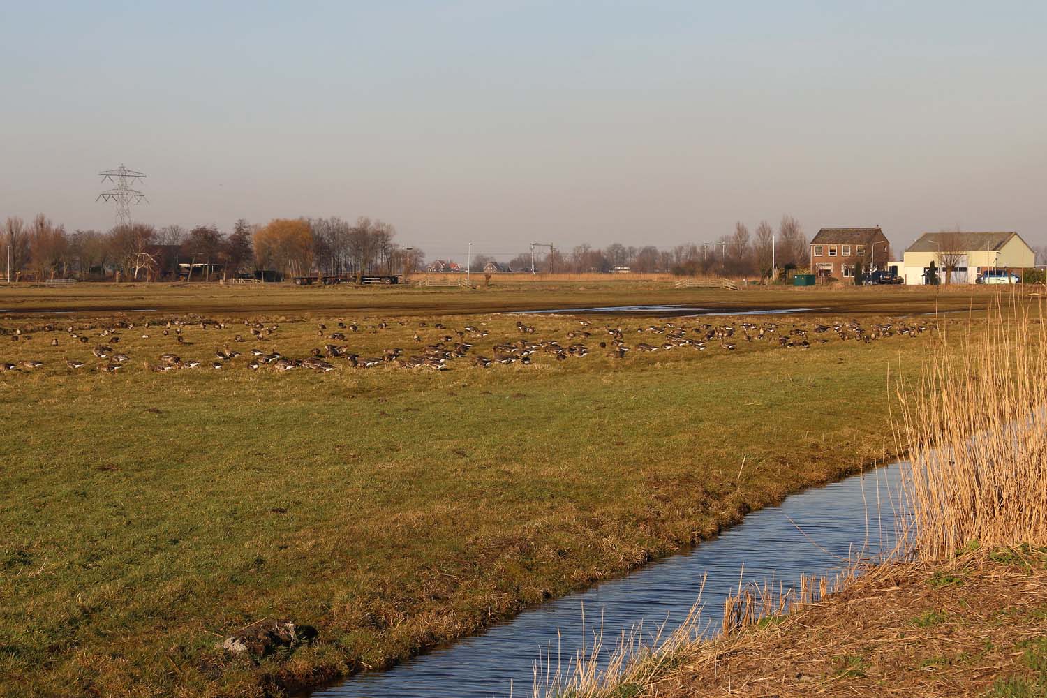 Noord-Kethelpolder