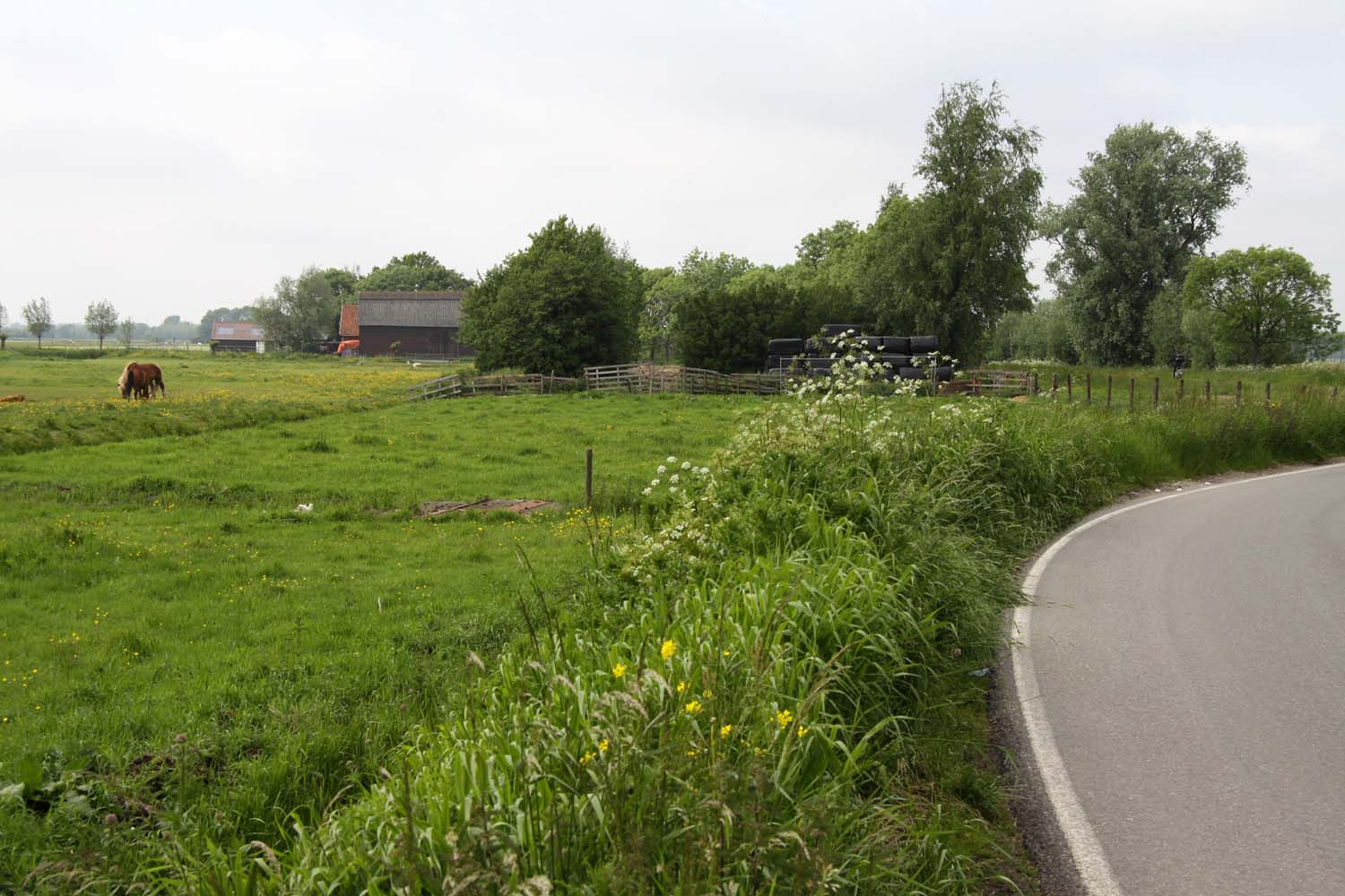 Noord-Kethelpolder uiterdijken