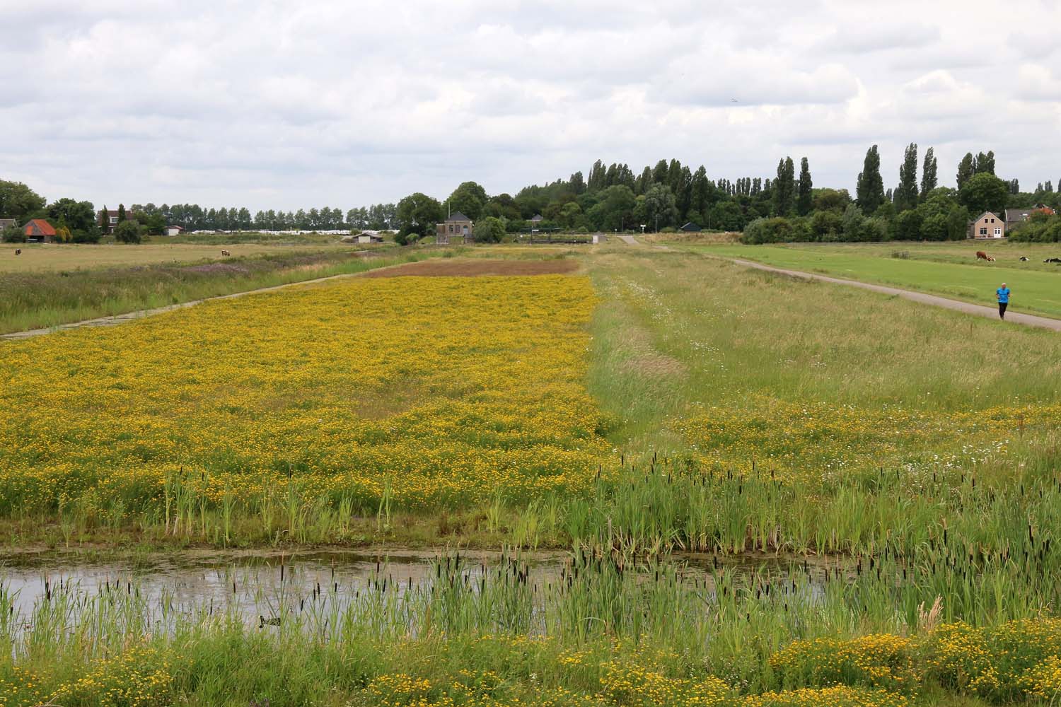 Noord-Kethelpolder