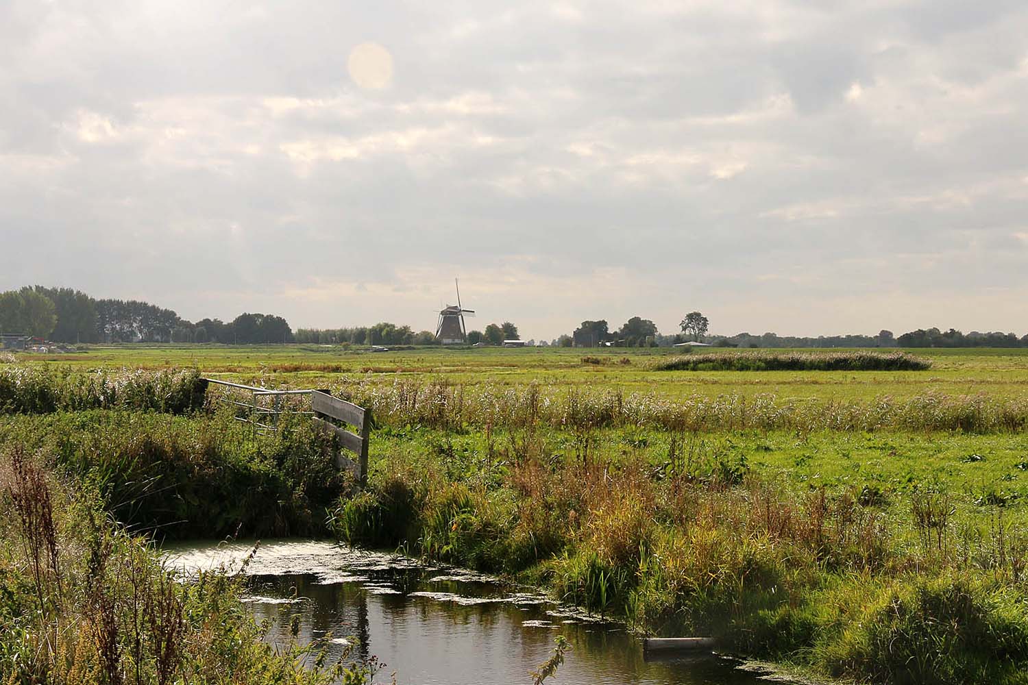 Polder Berkel