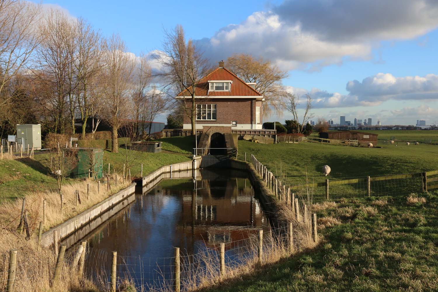 Schieveensepolder