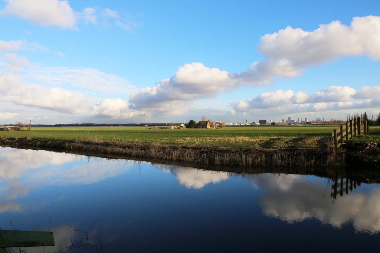 Schieveensepolder