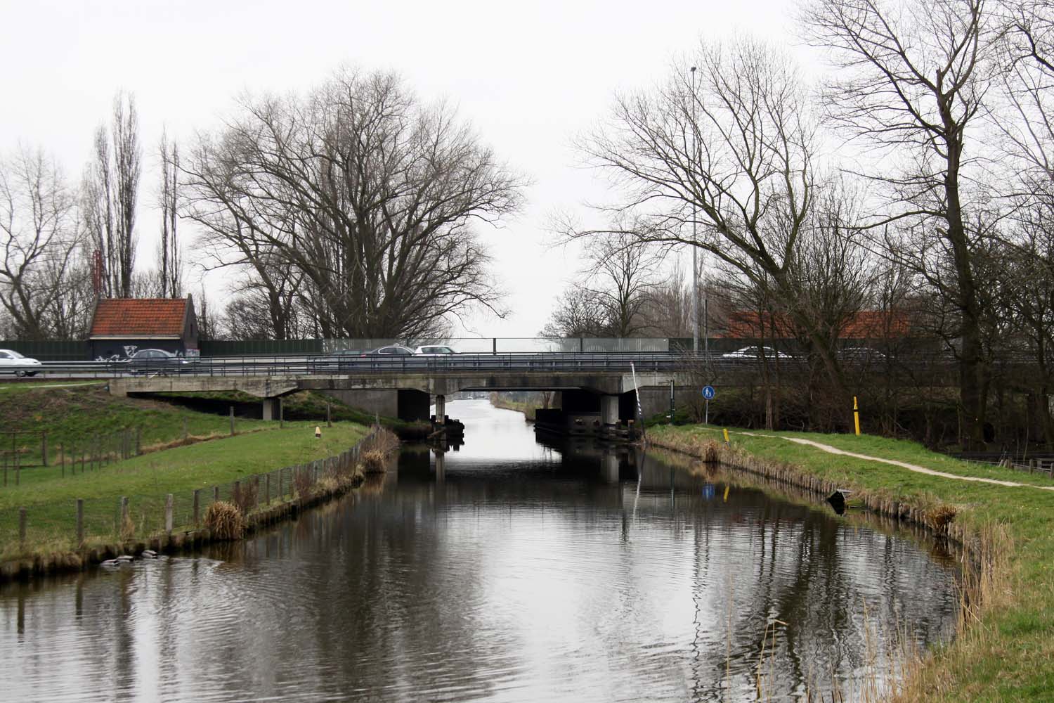 Schieveensepolder