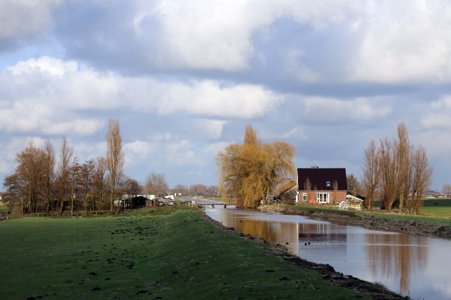 Schieveensepolder