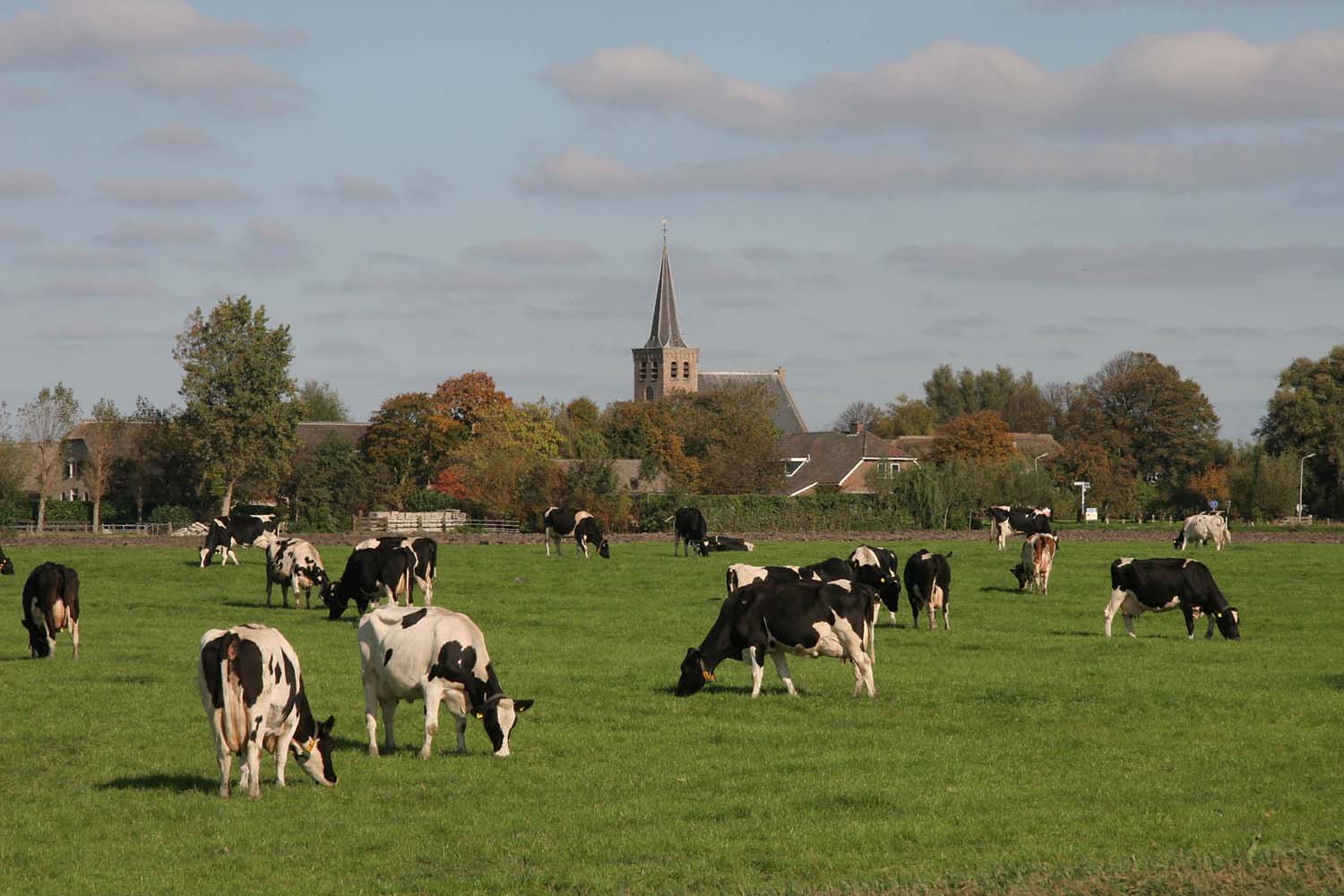 Kerkdorp 't Woudt